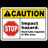 Hard Hats Required In This Area Sign